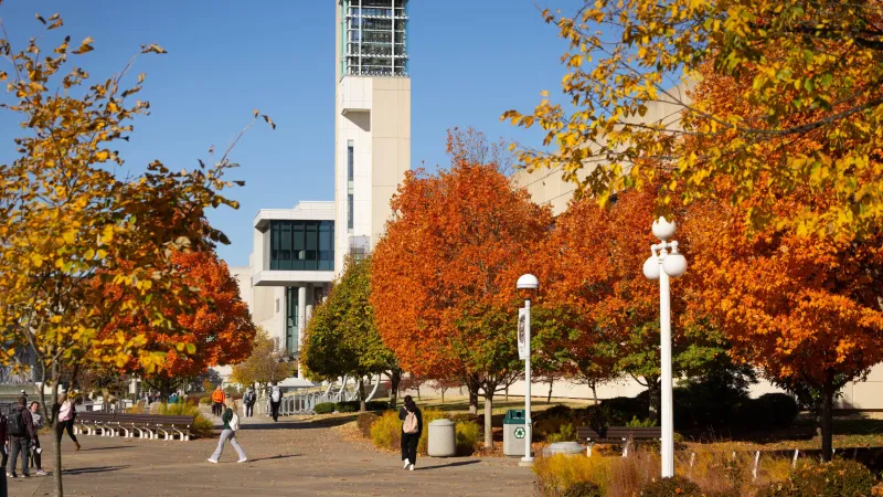 Why some autumns pop and others don't: an expert explains