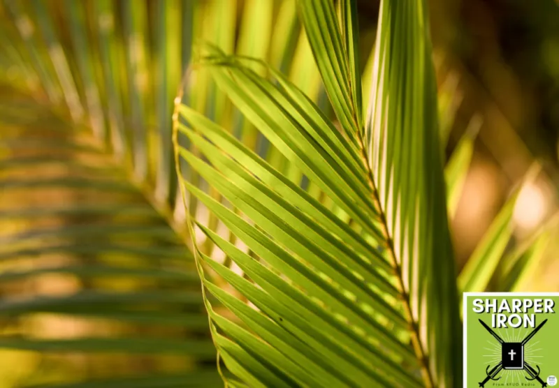 Sharper Iron - The Reign of Heaven Stands Near -- Matthew 21:1-11: Hosanna to the Humble King