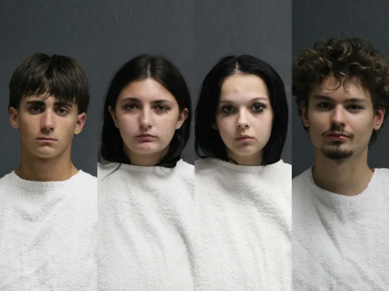 Four arrested after Grand Falls fight ends with gunshot