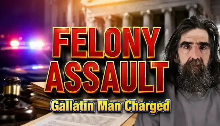 Gallatin man faces felony assault charge after choking allegation