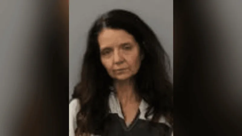 Woman arrested after I-44 traffic stop reveals fentanyl and meth in Phelps County