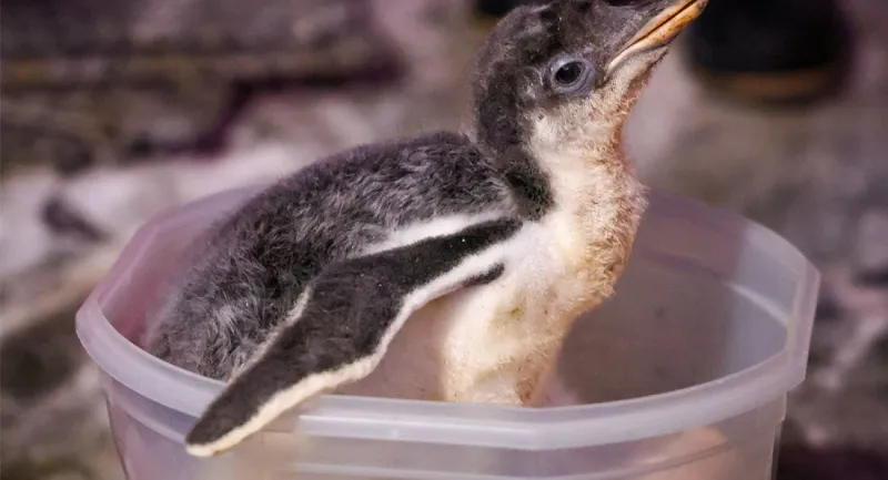 Branded Content There's Something New to Discover at Wonders of Wildlife