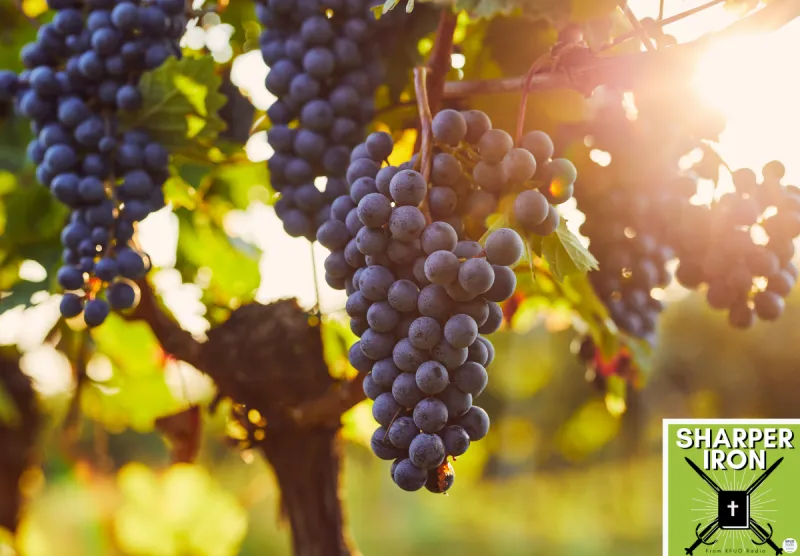 Sharper Iron - The Reign of Heaven Stands Near -- Matthew 21:33-46: The Cornerstone of the Vineyard is Marvelous
