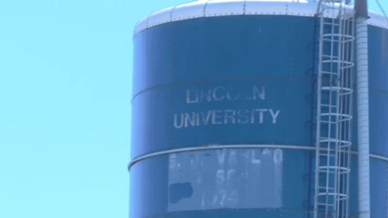 Lincoln University hosts a Small Ruminant Field Day