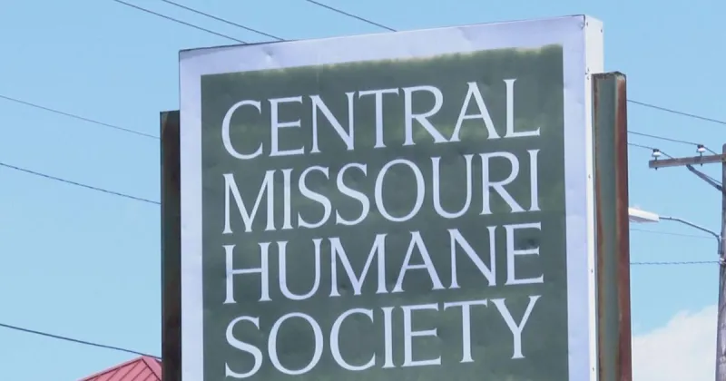 Central Missouri Humane Society suspends dog intake due to parvovirus
