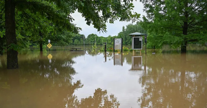 Ticks, heavy rain and extreme heat have been taking the fun out of summer