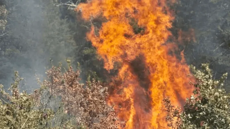 Firefighters contain 10-acre natural cover fire in rural Camden County
