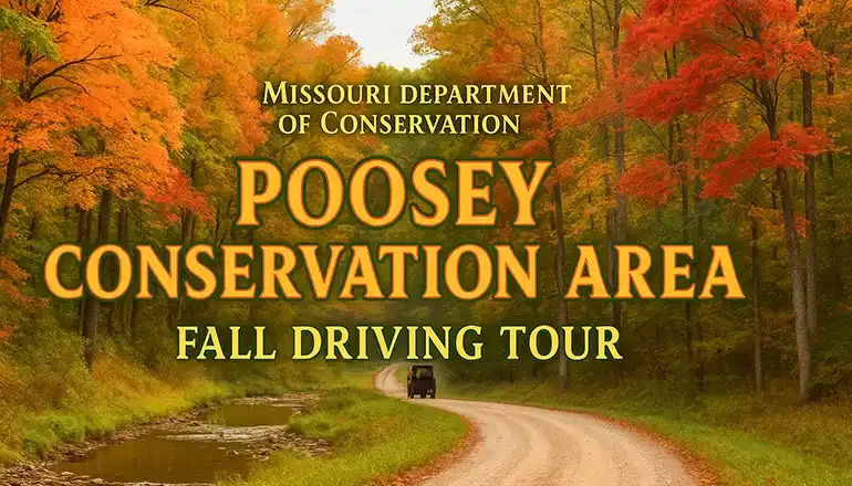 MDC invites visitors to 40th Poosey fall driving tour for Oct. 18
