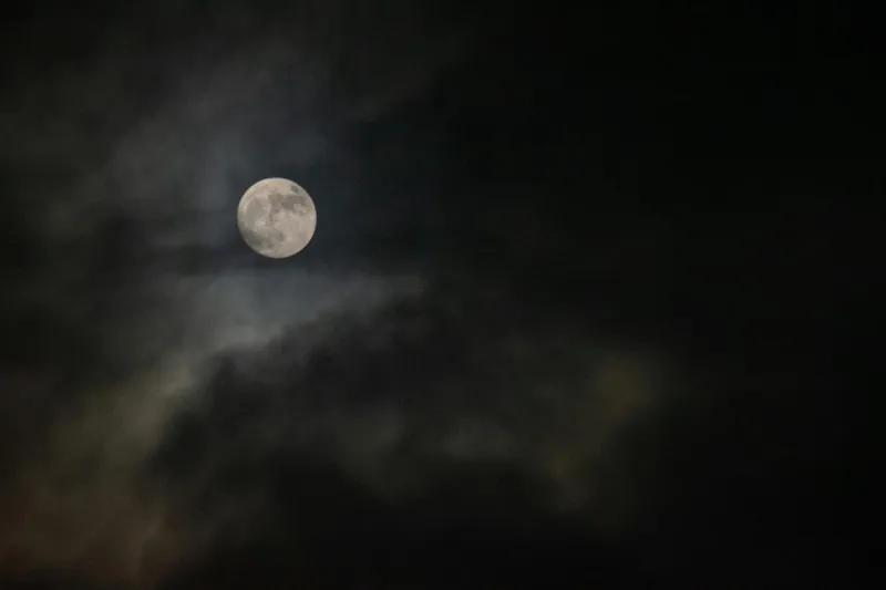 10 Missouri Dogman Stories Most Likely to Be True