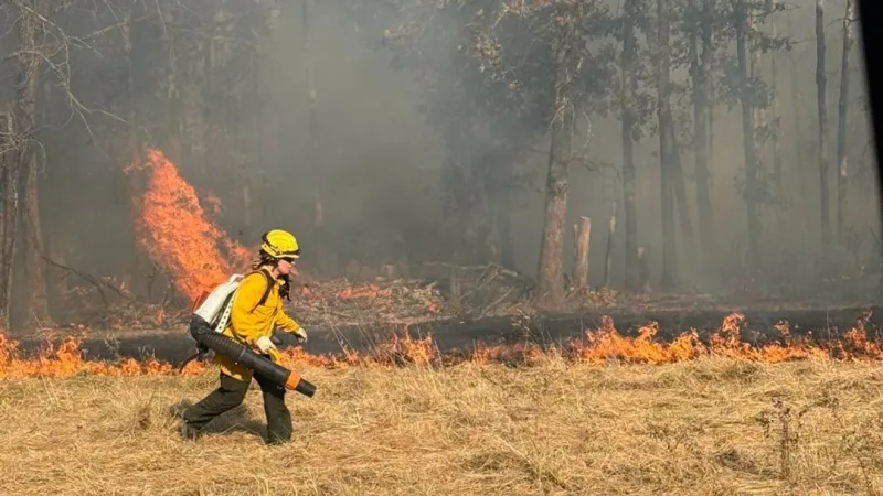 Firefighters battle 150-acre natural cover fire in Laclede County