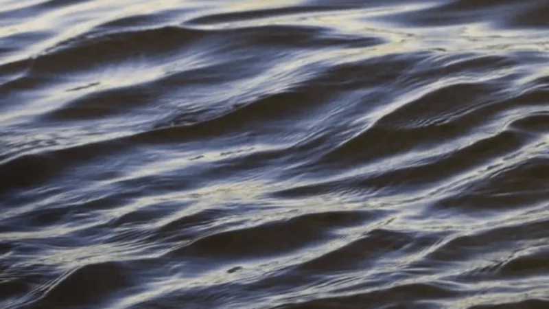 Boone County firefighters rescue stranded boater on Missouri River