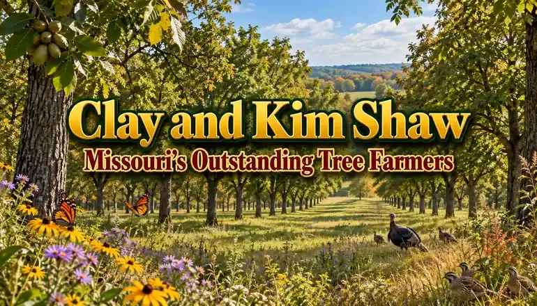 Missouri honors Clay and Kim Shaw for Bert Farms forestry efforts
