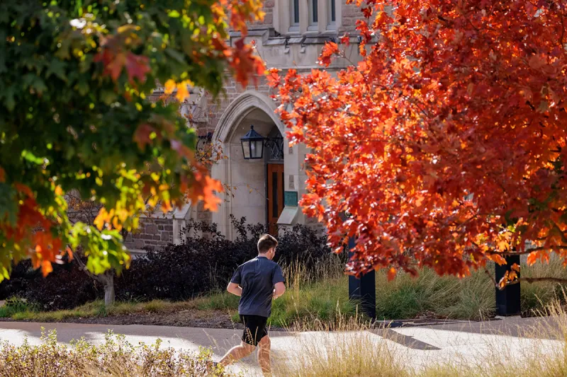 Join fall well-being challenge Walktober