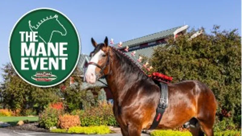 Top farriers to compete at Warm Springs Ranch for The Mane Event: Forging Legends