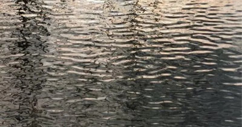 St. Louis man drowns at Lake of the Ozarks