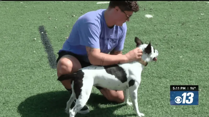 After 71 days waiting, friendly heeler mix Trudy is still looking for her person