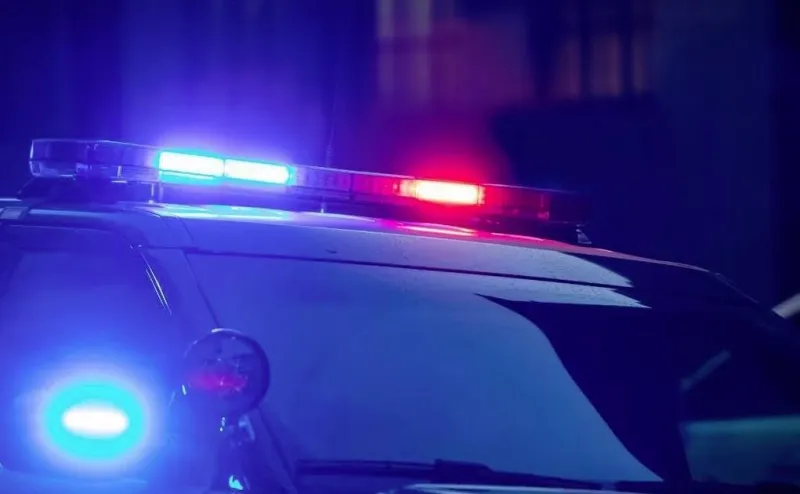 Kansas City Crime Scene: Flock Fights & Court Proceedings