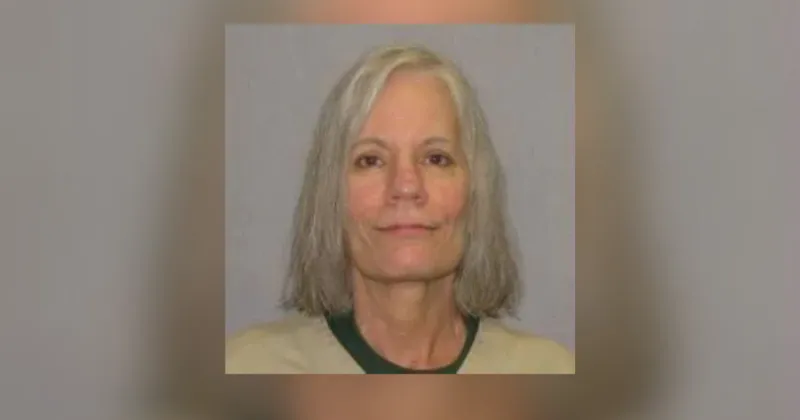 Pam Hupp's murder conviction should be kept out of Betsy Faria murder trial, lawyer says