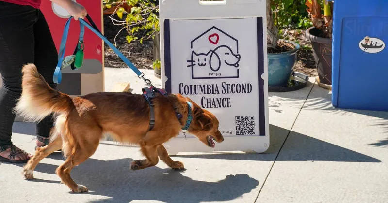 Columbia Second Chance celebrates adoption with annual rescue reunion