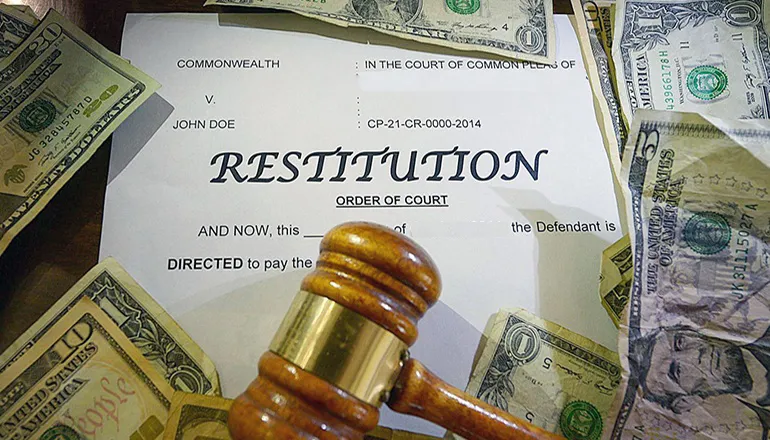 St. Louis pet charity fraud ends with $104,482 restitution orders