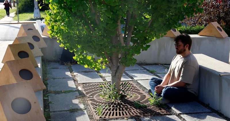 Sun Boxes come to Columbia to build an environment of sound on campus