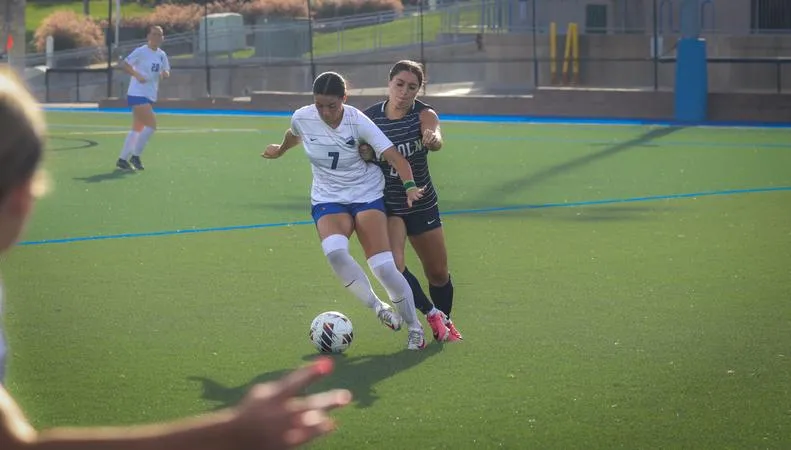 Herweck's Late Goal Lifts Hawks Past Blue Tigers