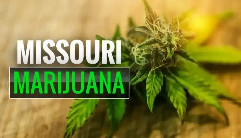 State asks Missouri Supreme Court to block award of 13 marijuana licenses