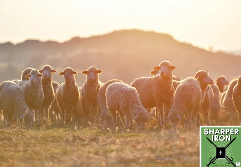 Sharper Iron - The Reign of Heaven Stands Near -- Matthew 25:31-46: Sheep and Goats