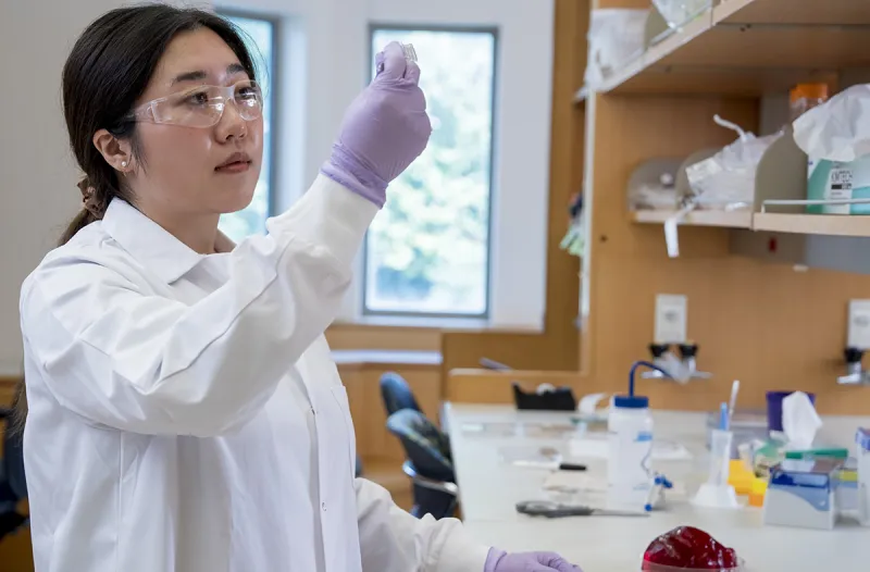A unique solution for bioelectronics: collagen and cacao butter