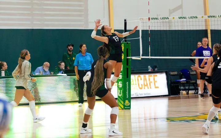 Lions Fall to Newman in Four Sets