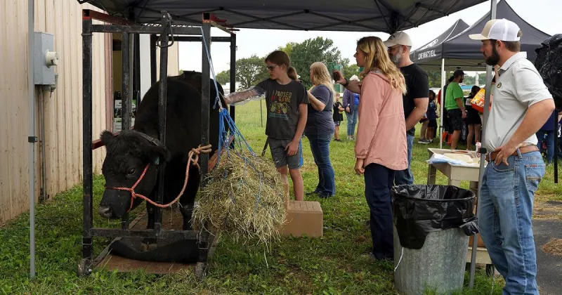 CAFNR hosts annual family-friendly showcase at South Farm