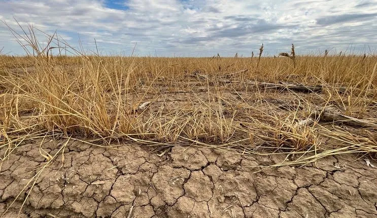 Kansas Suffers Small Farm FAIL