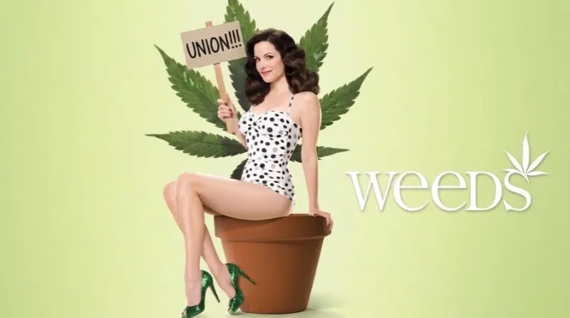 Show-Me Weed Union Fight