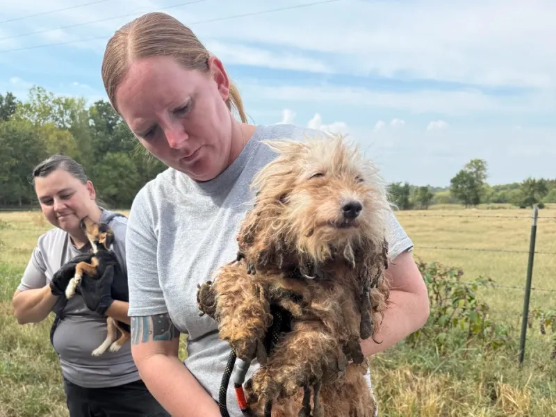 Over 100 animals rescued from Lawrence County property
