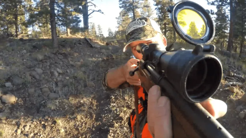 Missouri deer hunters face new hunting regulations amid changes made by MDC