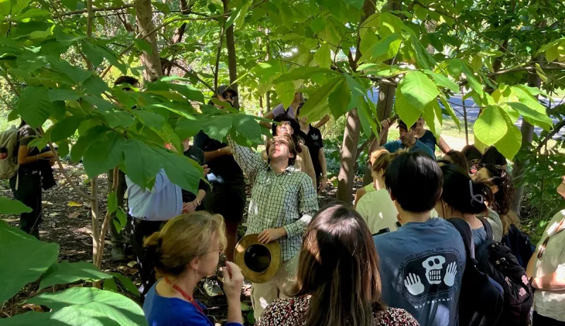 WashU Arboretum holds free tours and events