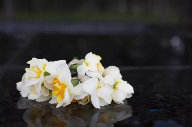 Funeral Announcements for September 30, 2026
