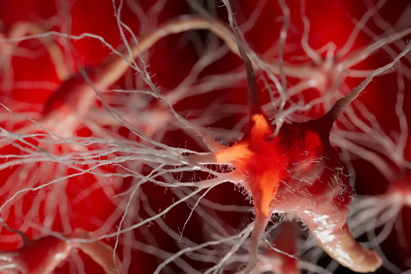 Blocking immune cells' path into brain limits neurodegeneration