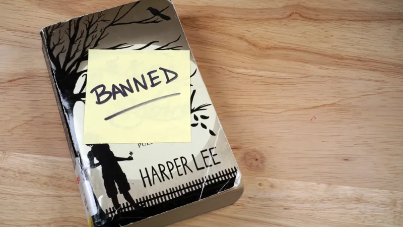 Book bans limit children's understanding of themselves and the world