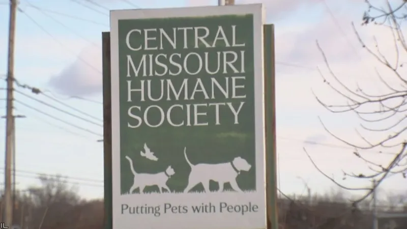 Central Missouri Humane Society to decline services at new facility proposed by city