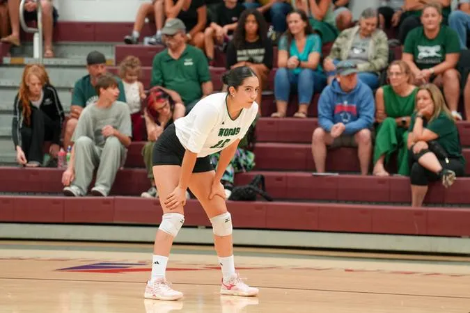 Clarke's Block Proves Too Much for Owls