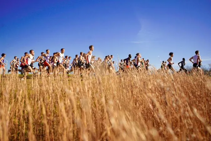 William Jewell Announces Restructuring of Cross Country Programs, Begins National Search for Head Coach