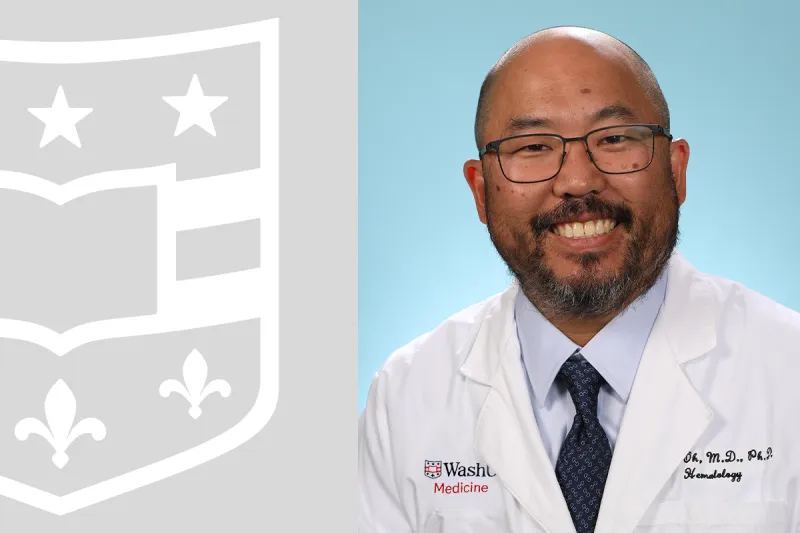 Promising target identified against chronic blood cancer