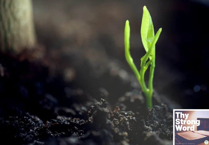 Thy Strong Word - 1 Corinthians 15:20--44: What Comes Out of the Grave?
