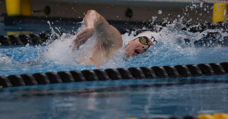 New training program generates buzz for Mizzou swim and dive this season