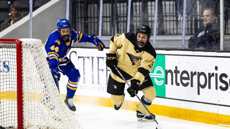Men's Hockey has Comeback Bid Fall Short Against Lake State