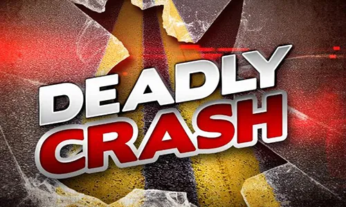Branson driver dies after car goes airborne and strikes a tree