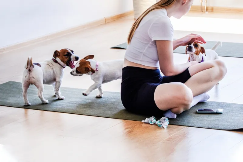 Puppy Yoga at Harpo's This Month
