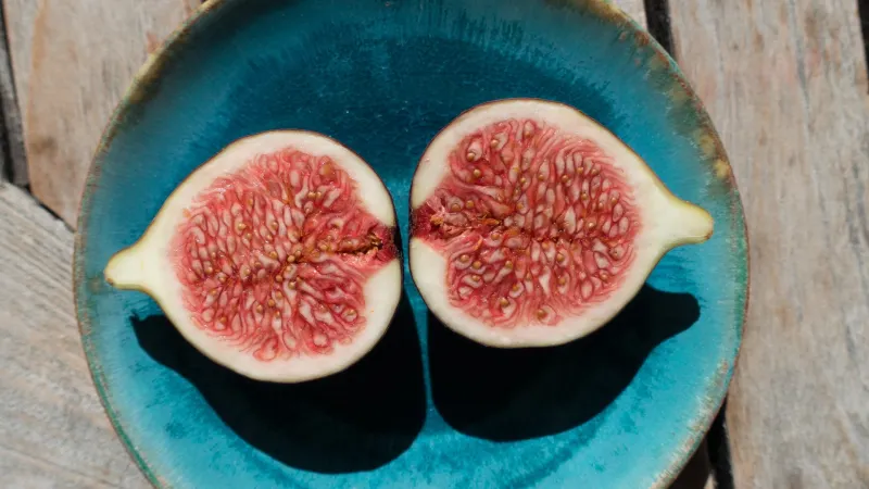 Are figs the best fruit to manage blood sugar?