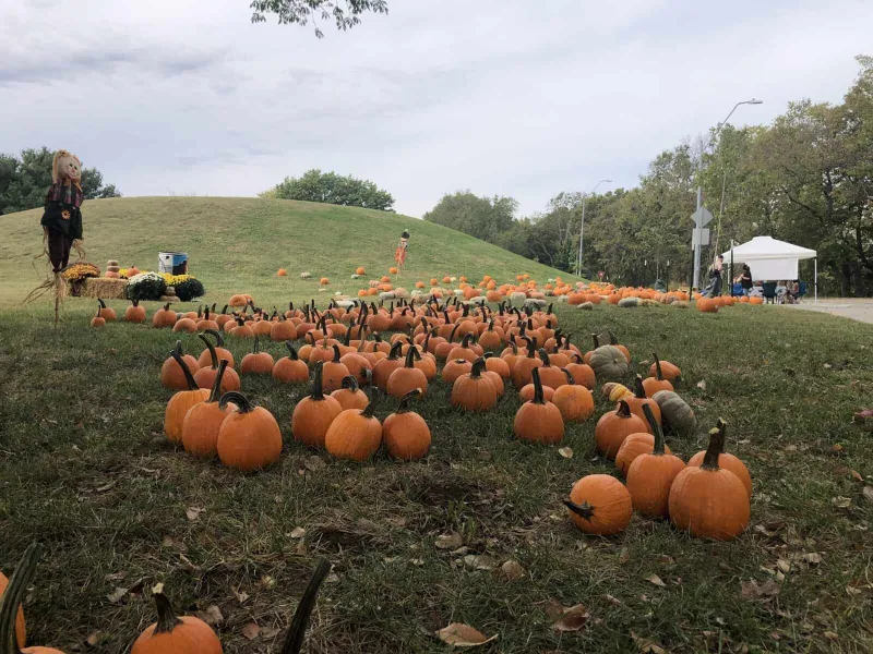 Annual Pumpkin Patch Celebrates Fall, Neighborhood Connections